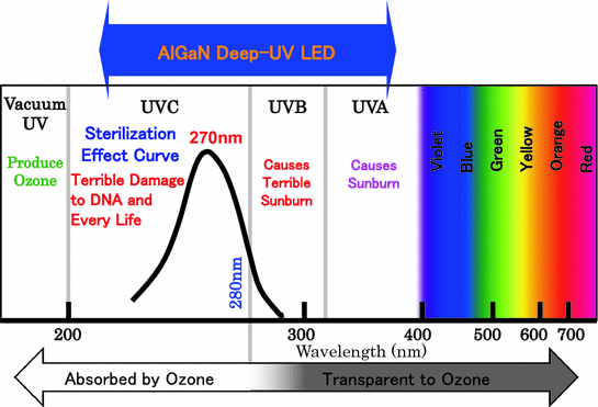 AlGaN-Based Deep-Ultraviolet Light-Emitting Diodes | SpringerLink