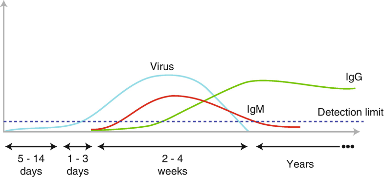 Monkeypox Virus | SpringerLink