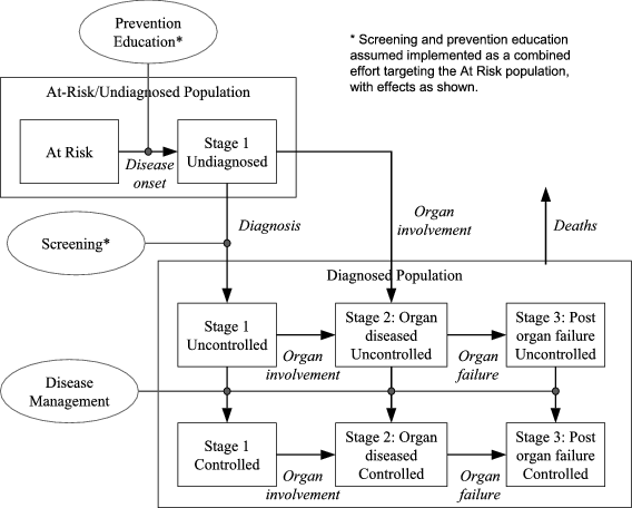 Sava Senior Care Organizational Chart