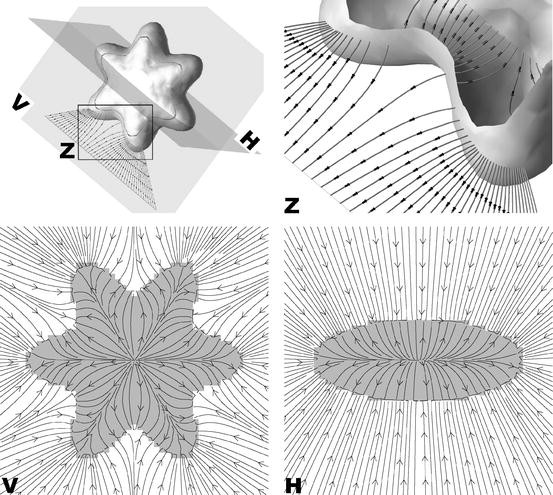 Gradient Vector Flow | SpringerLink