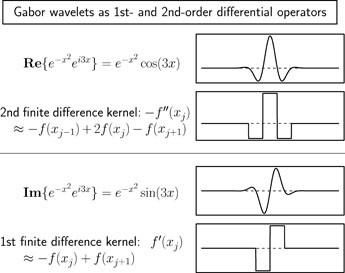 Iris Encoding and Recognition using Gabor Wavelets | SpringerLink
