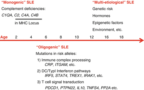 Juvenile Diseases Sle In Children Springerlink