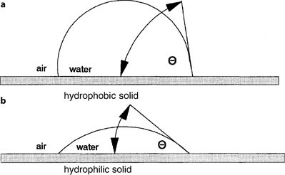 Hydrophilicity Hydrophobicity Springerlink
