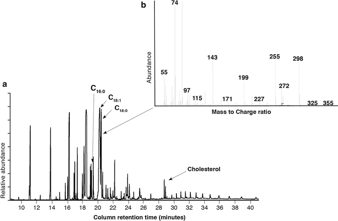 Organic Residues Springerlink Organic Residues Springerlink