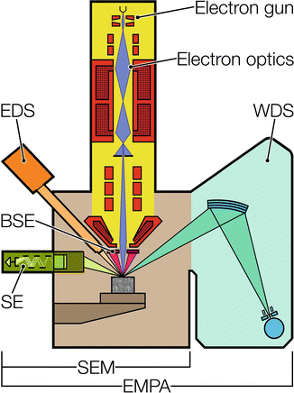 Scanning Electron Microscopy Sem Springerlink