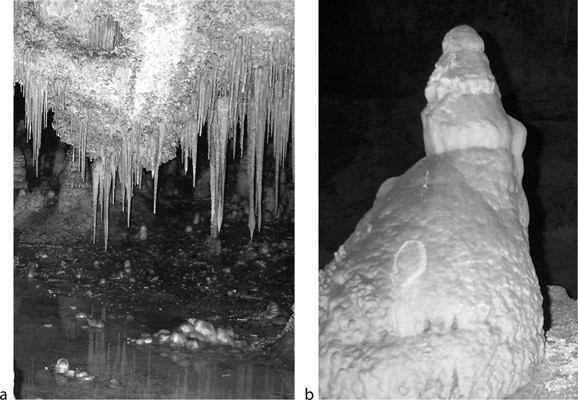 1 A Water Drop Forming On The Tip Of A Stalactite B Soda Straw Download Scientific Diagram