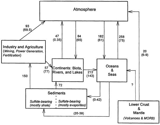 Sulfur Cycle Springerlink - 