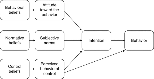 Theory Of Reasoned Action Springerlink