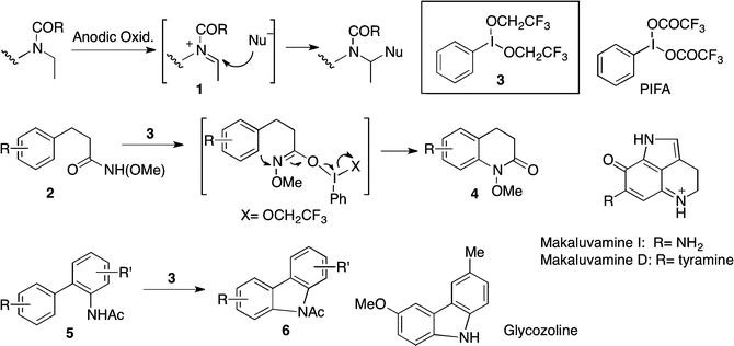 Electrochemical Functional Transformation Springerlink