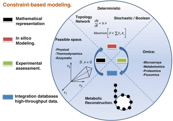 Constraint-based Modeling | SpringerLink