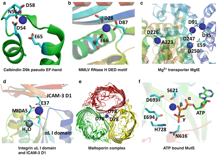 Magnesium Binding Sites in Proteins SpringerLink