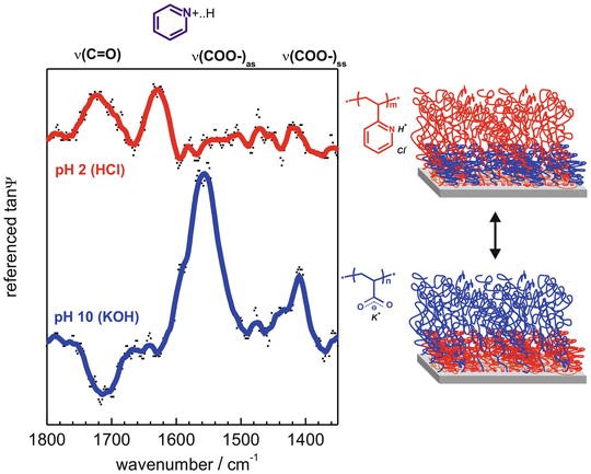 In Situ Infrared Spectroscopy Springerlink