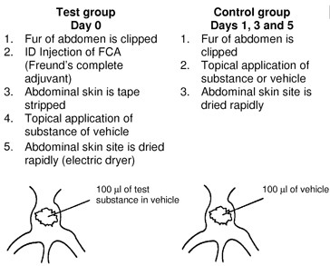 application of mouse