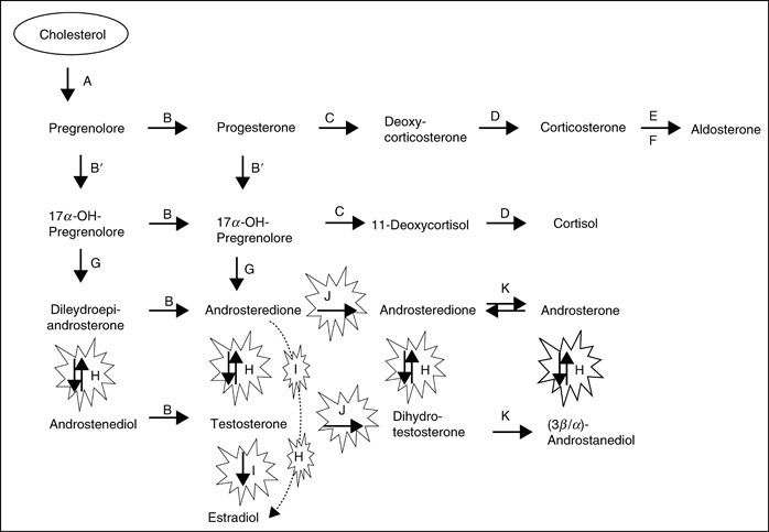 Hirsutism Springerlink