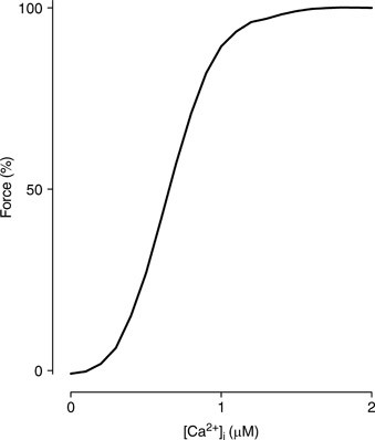 Excitation-Contraction Coupling | Springerlink Excitation-Contraction Coupling | Springerlink