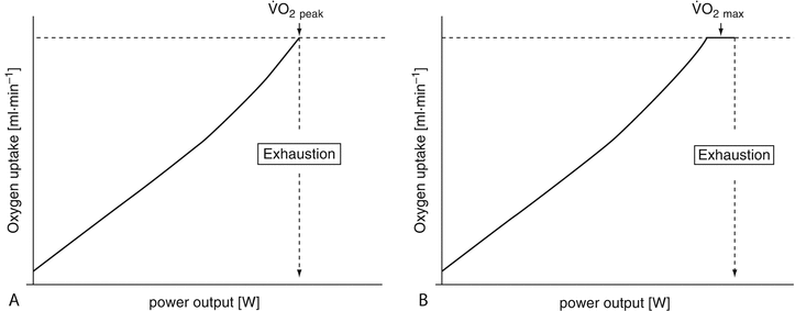 Maximal Oxygen Uptake Equation Springerlink