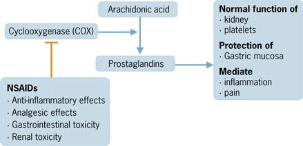 Non Steroidal Anti Inflammatory Drugs Springerlink