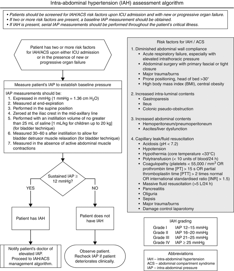 Intraabdominal Pressure Monitoring | SpringerLink