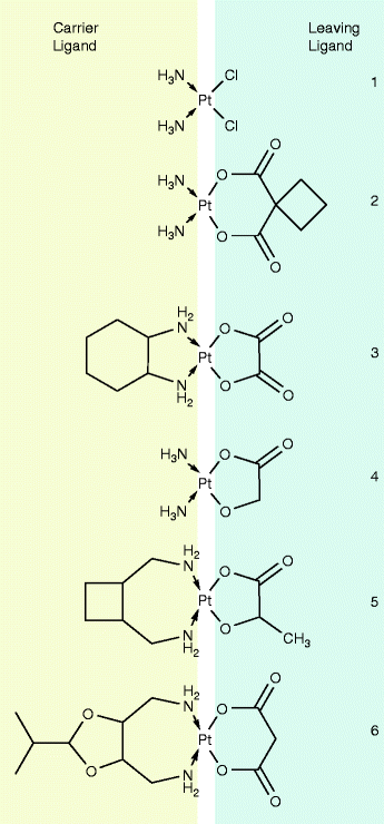 platinum complexes springerlink cisplatin mechanism of action