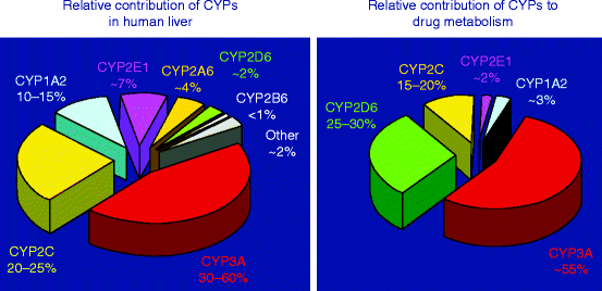 gabapentin cyp450 metabolism