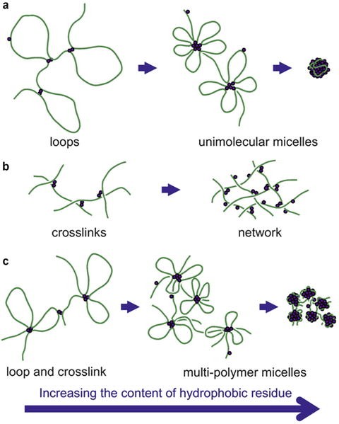Micelles And Vesicles Springerlink Micelles And Vesicles Springerlink