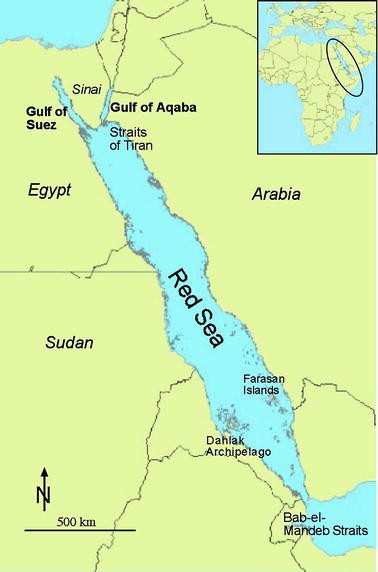 Red Sea And Gulf Of Aqaba | SpringerLink