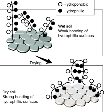 Hydrophobicity of Soil | SpringerLink