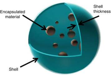 Nanoencapsulation, Fig. 1
