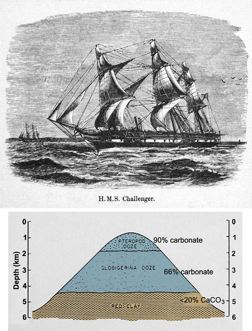 Calcite Compensation Depth (CCD) SpringerLink