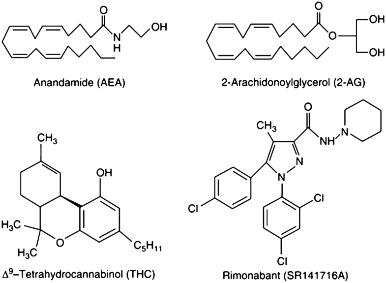 Endocannabinoids SpringerLink