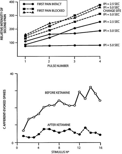 First and Second Pain Assessment (First Pain, Pricking Pain, PinPrick
