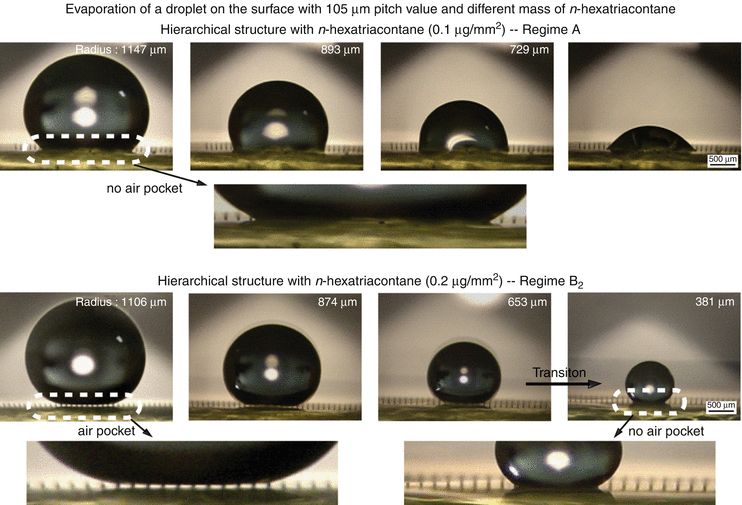Rose Petal Effect SpringerLink