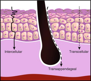 Dermal and Transdermal Delivery | SpringerLink