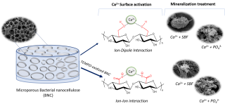 graphical abstract