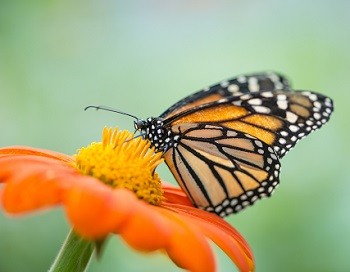 © Ogphoto / Getty Images / iStock