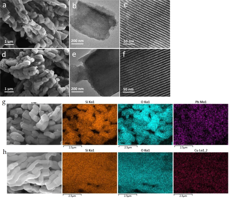 micrograph 1 march 2021