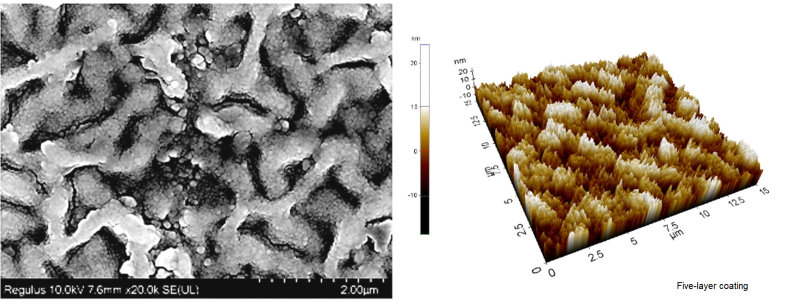 micrograph 1 oct 21