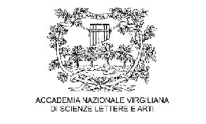 logo_NVA2