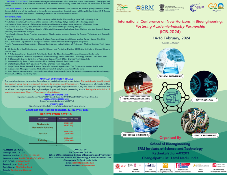 Special Issue 2024 International Conference on New Horizons in