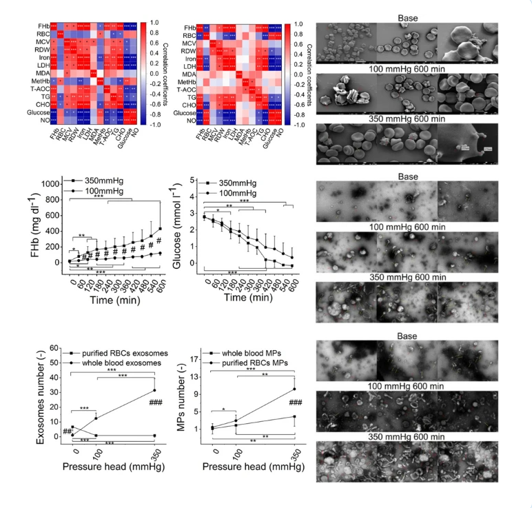 Editor's Choice Articles | Medical & Biological Engineering & Computing ...