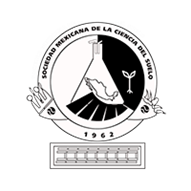 Mexican society