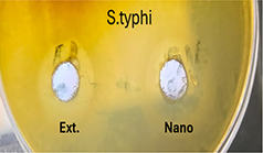 View full size image