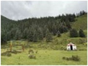 View full size image