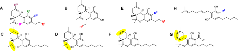 View full size image