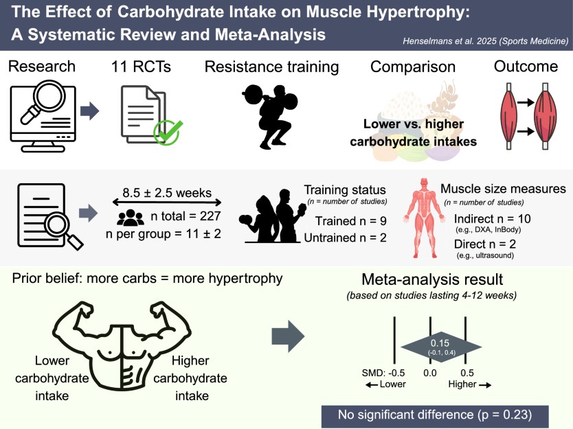 40279_2025_2341_Figa_HTML.png?as=jpg