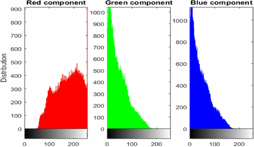 View full size image