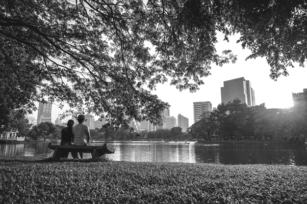Co-creation and co-production for transforming towns and cities with nature-based solutions