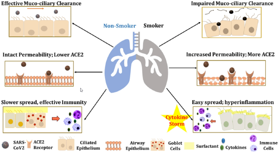 Home page | Journal of Inflammation