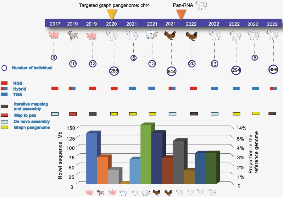 Pan-genome research in farm animal science