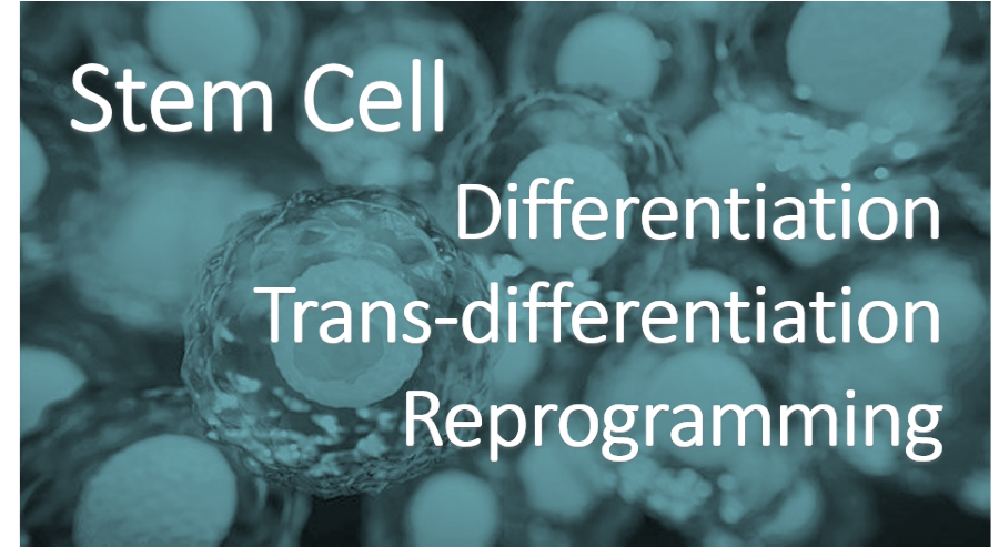 Cell Regeneration, Journal